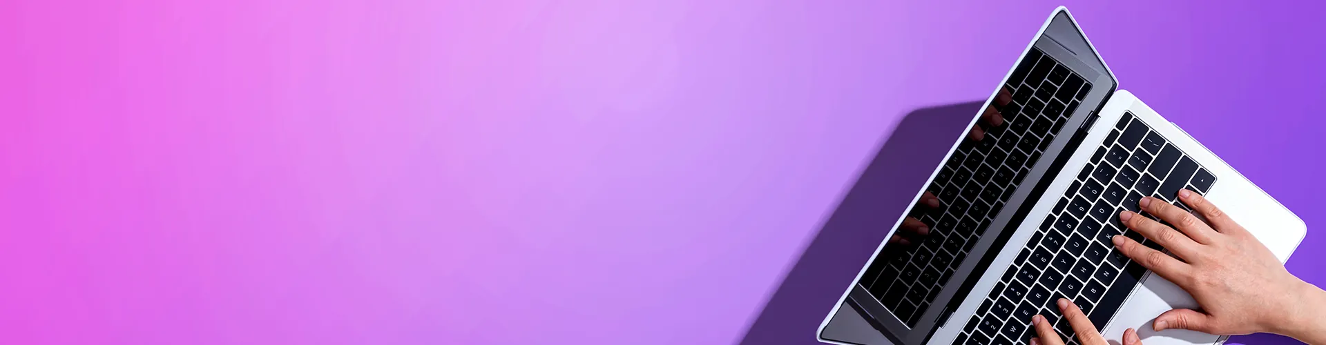 Web Director Course