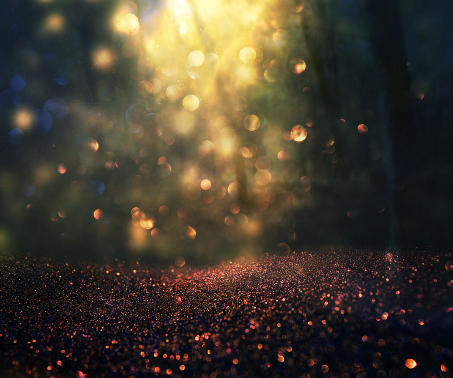 blurred abstract photo of light burst among trees and glitter golden bokeh lights